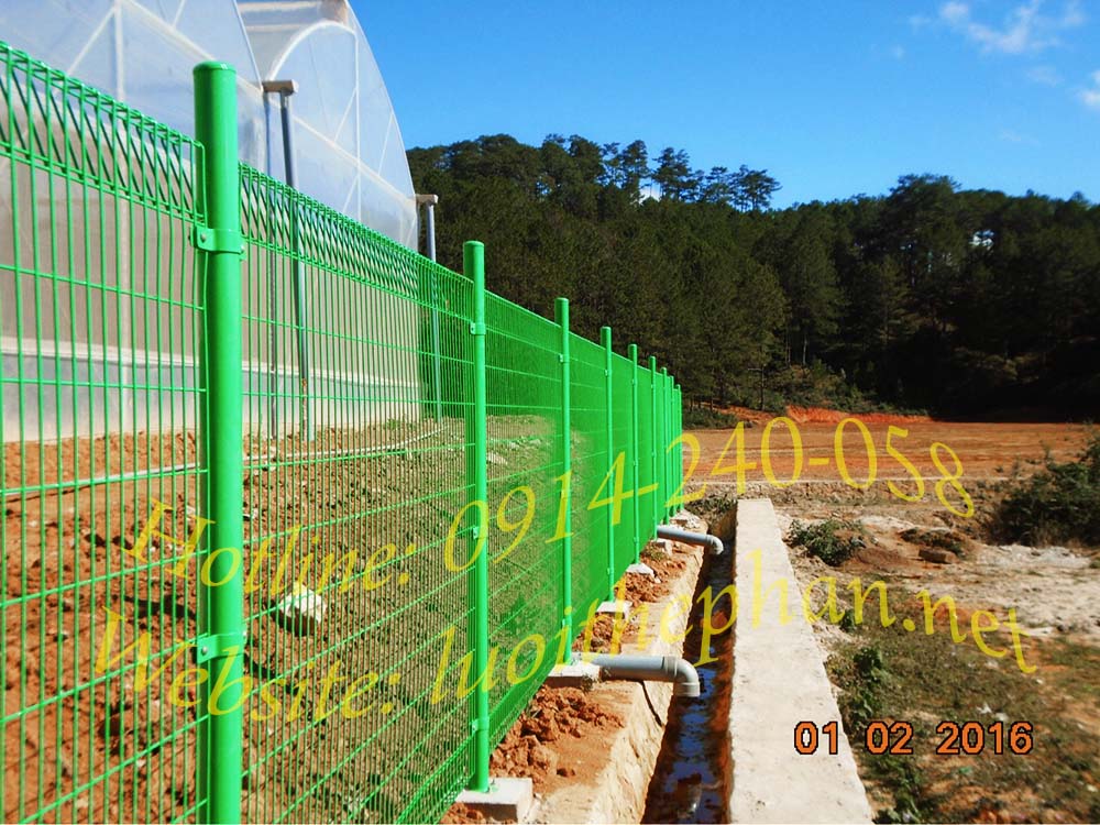 hang-rao-luoi-ma-kem-welded-mesh-fence-5