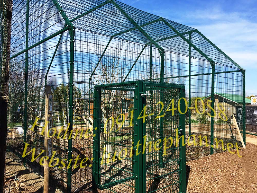 chuong-chim-luoi-thep-han