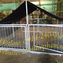 Chuồng lưới thép trung (không bao gồm mái bạt)