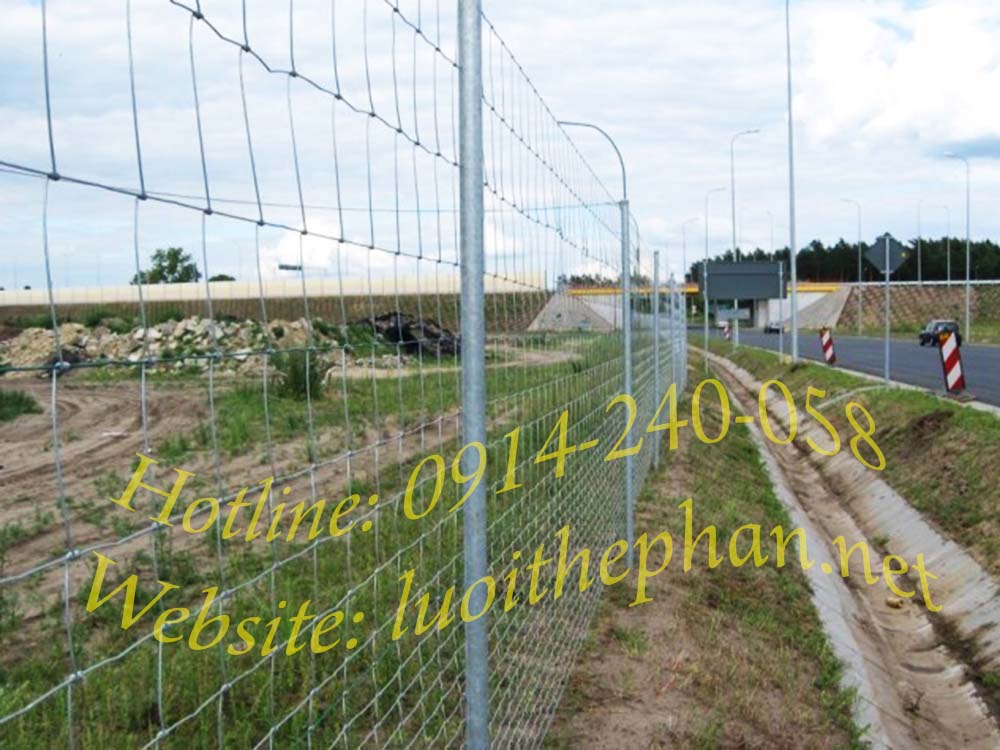 Lưới rào Zinal nút xoắn